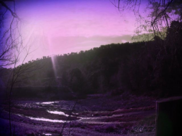 LA VIDA TRAS EL CRISTAL ROSA