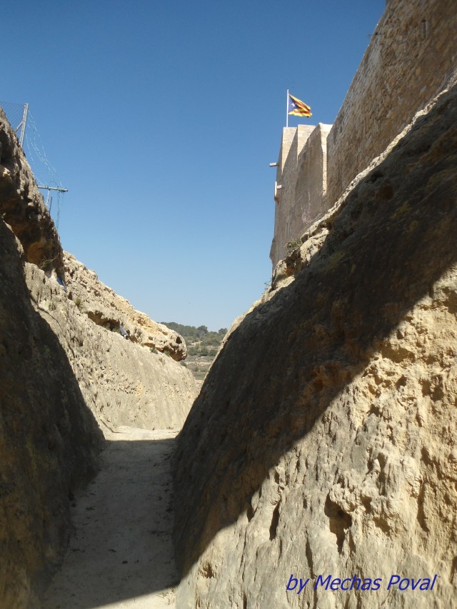 EN TIERRA DE DRAGONES