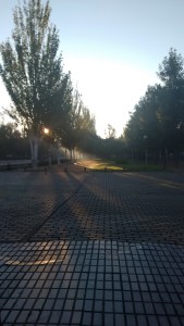 IMG_20151105_080850260