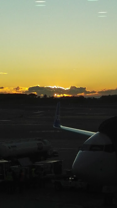 IMG_20171228_081946_BURST001_COVER